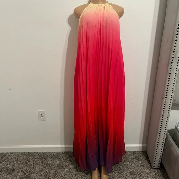 Elegant Gradient Maxi Dress - Picture 4 of 10